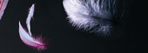 [Autre] Achats 10-06-15