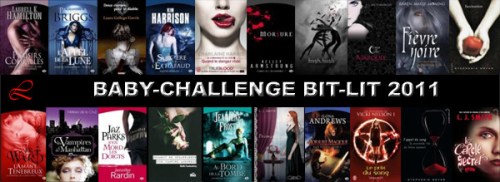 [Challenge] Bit-lit 2011