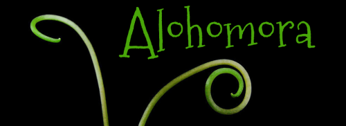 [Partenaire] Alohomora - Ban