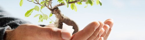 [Autre] Blog neutre en carbone