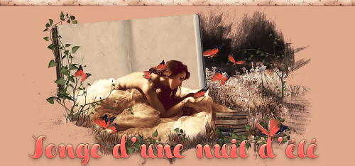 [Partenaire] Songe d'une nuit d'été - Ban